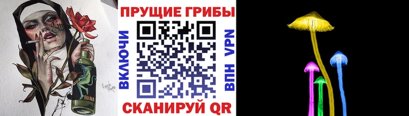 наркотики  Клинцы  Галлюциногенные грибы Cubensis 