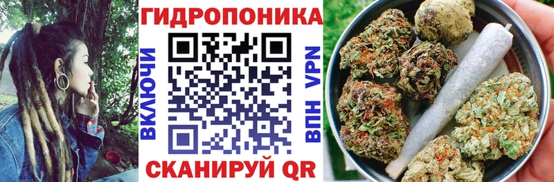 ОМГ ОМГ зеркало  Клинцы  Конопля THC 21% 